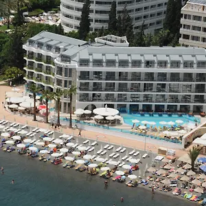 book here